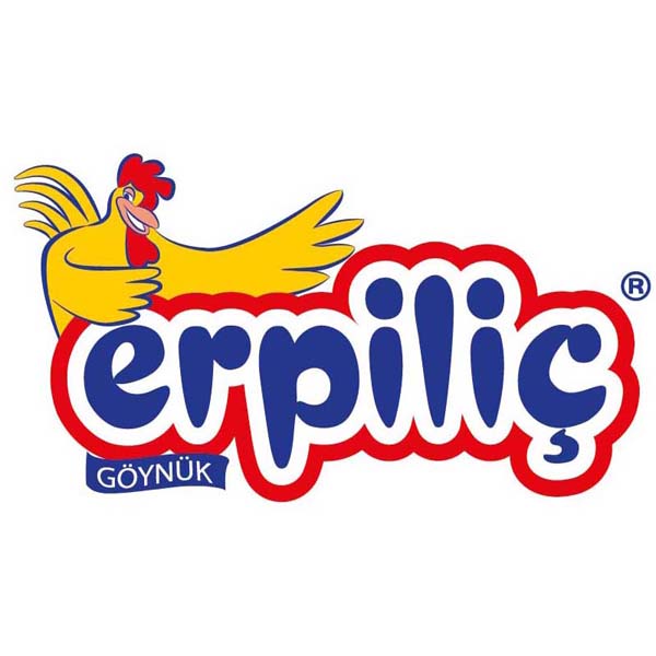 erpilic logo